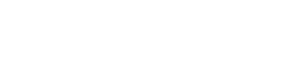 Logo Asset