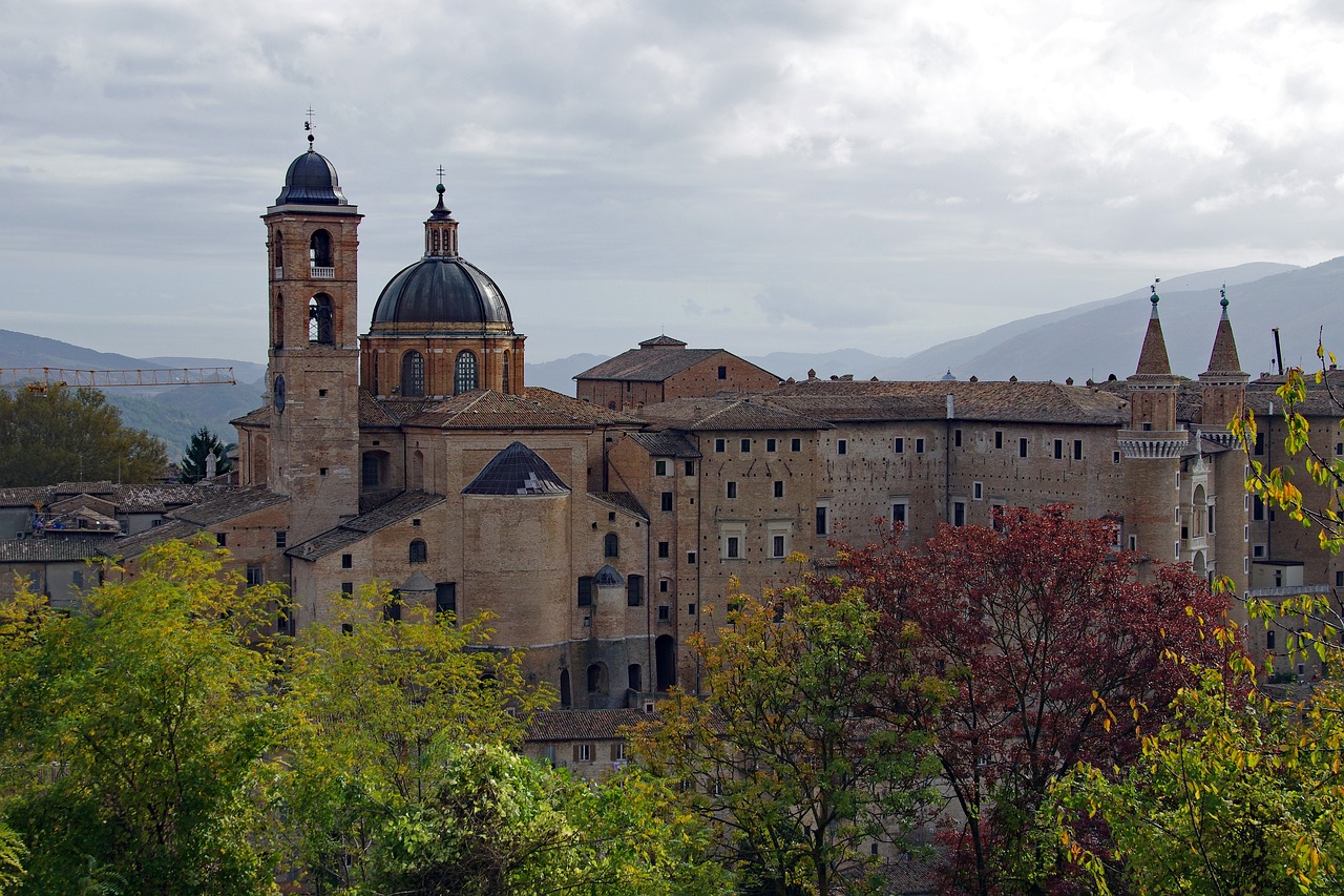 urbino