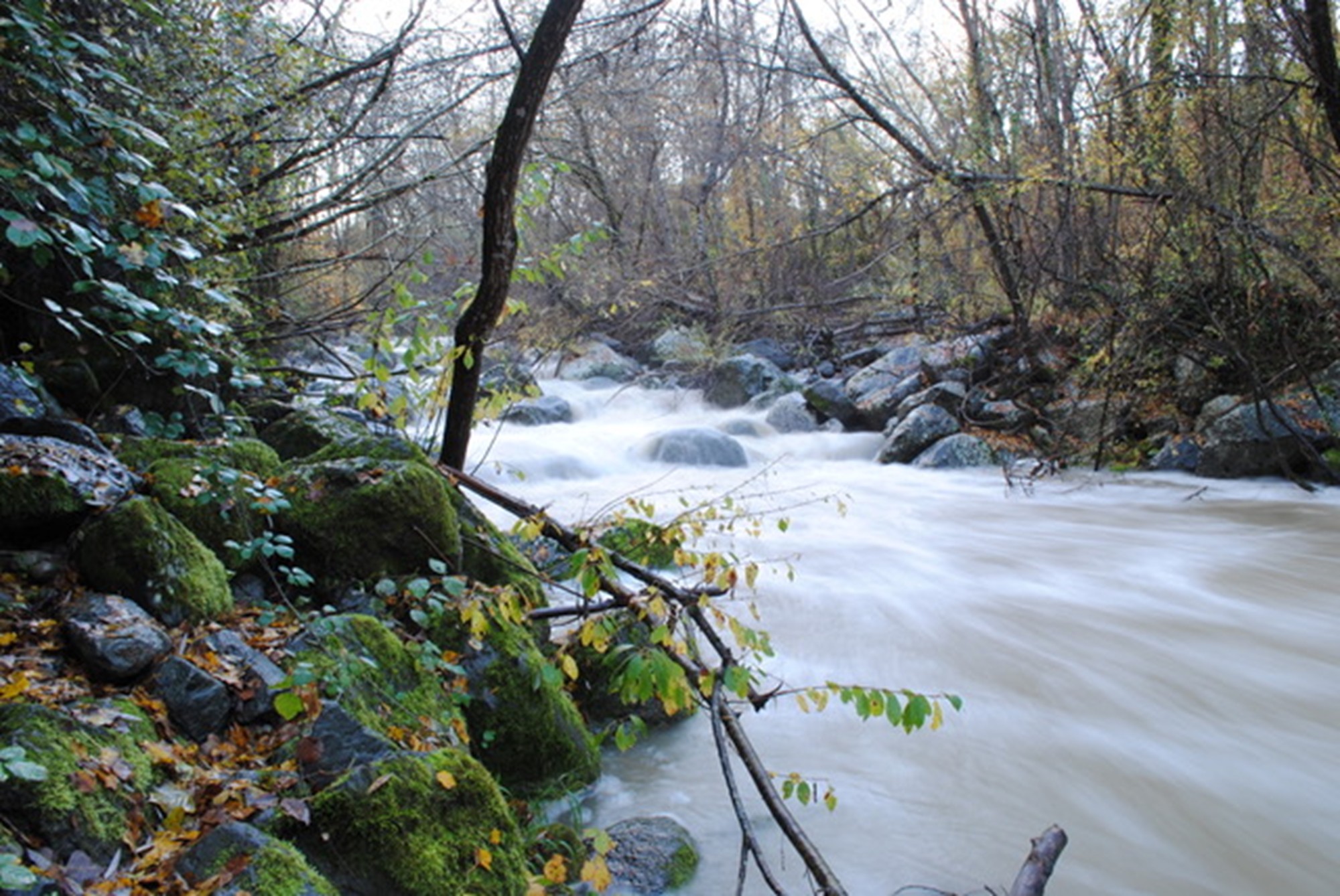 Torrente Stridolone Proceno