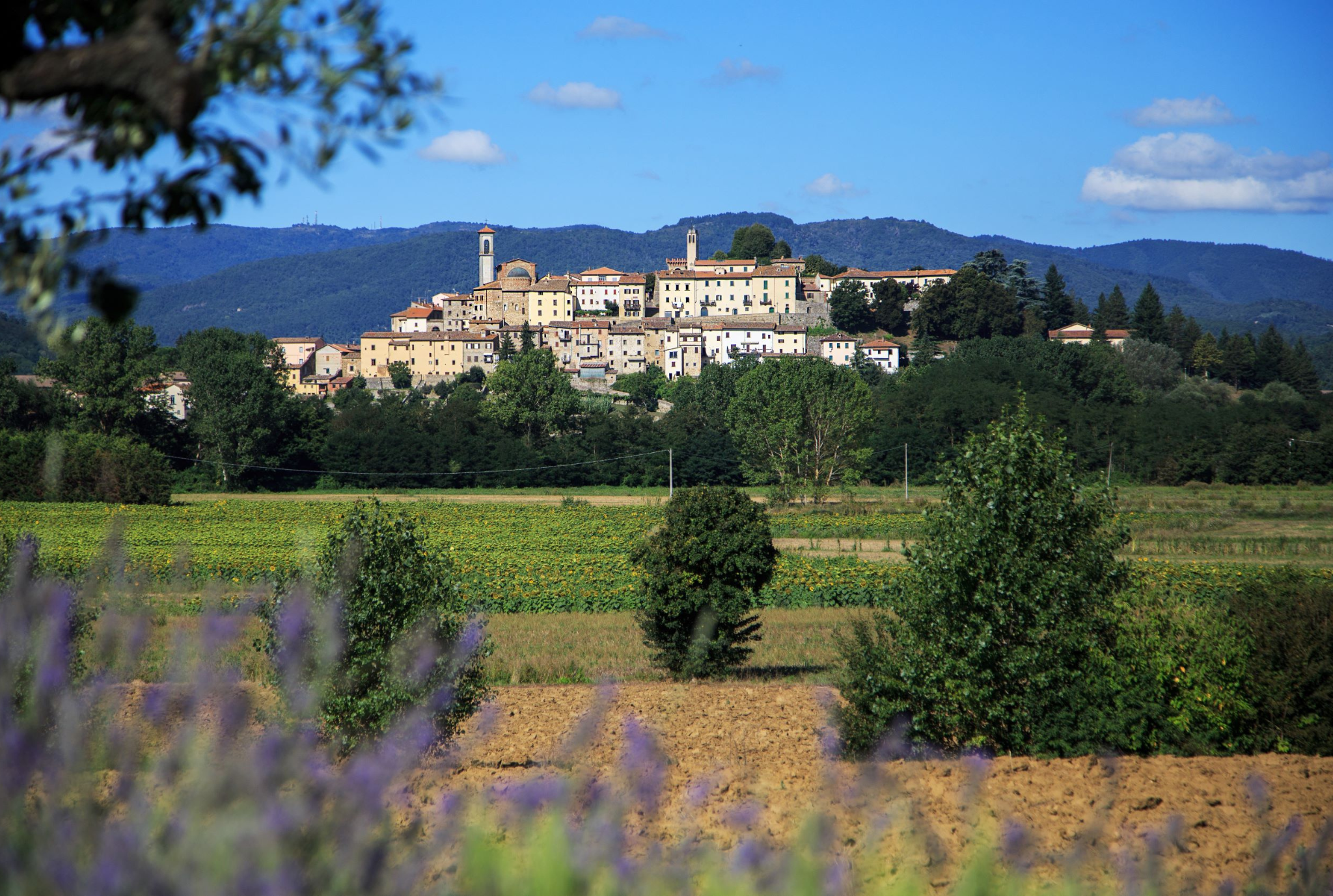 Tuscan Tiber Valley